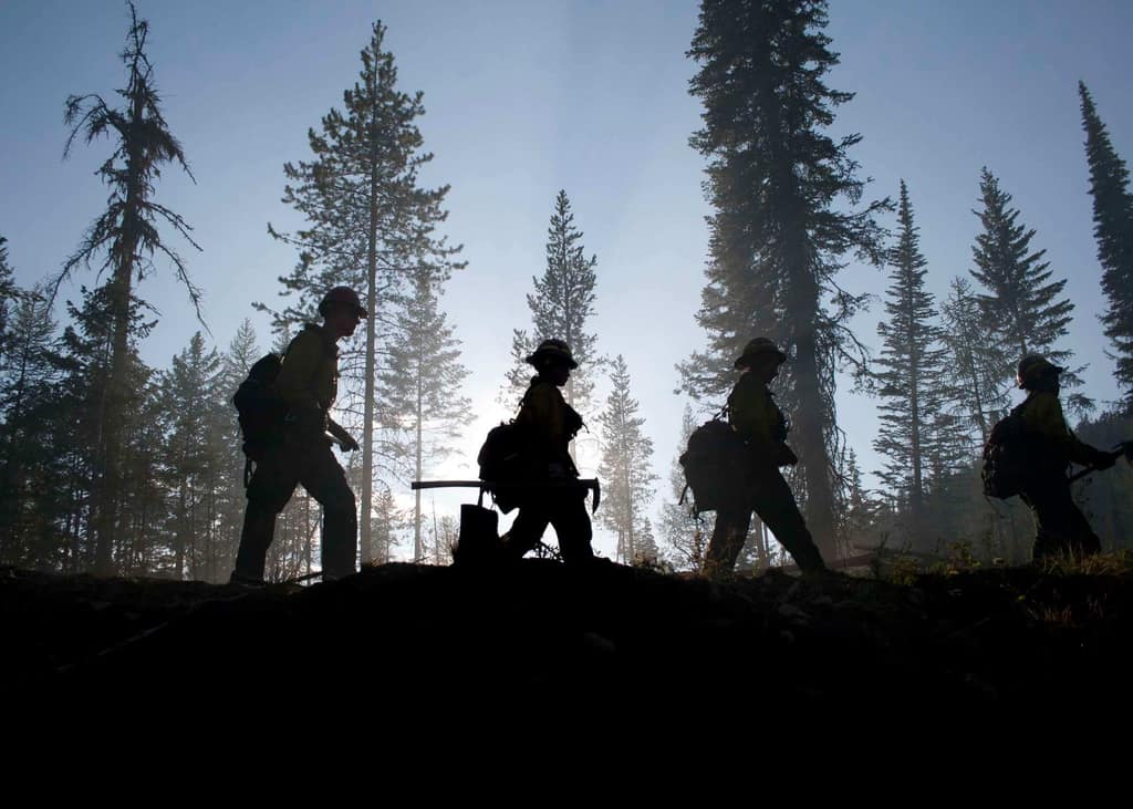 Prescribed burn operation