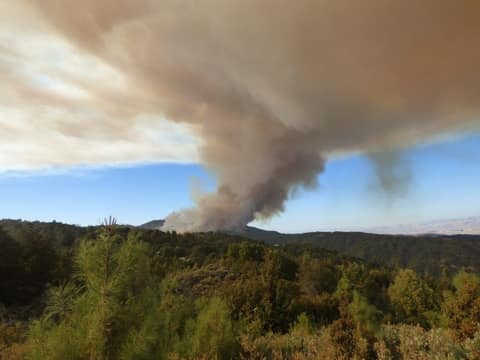 A wildland fire at dusk — the subject of IAWF-backed research