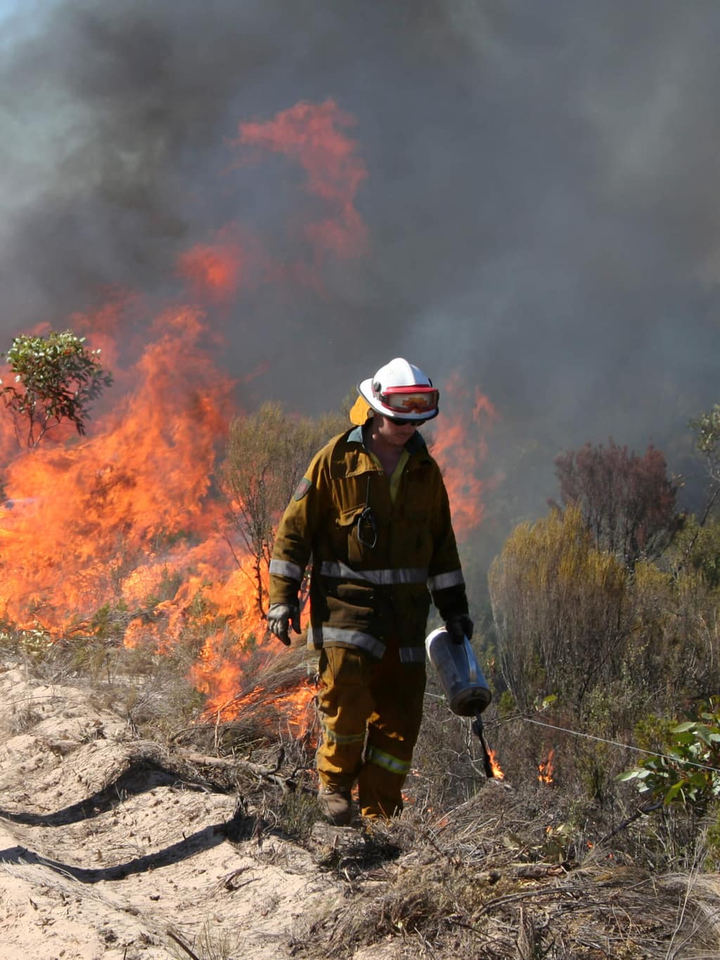 Prescribed burn lighting up at Ngarkat