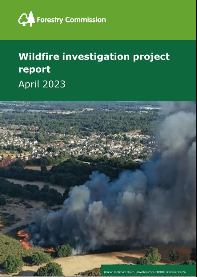 Wildfire investigations illustration